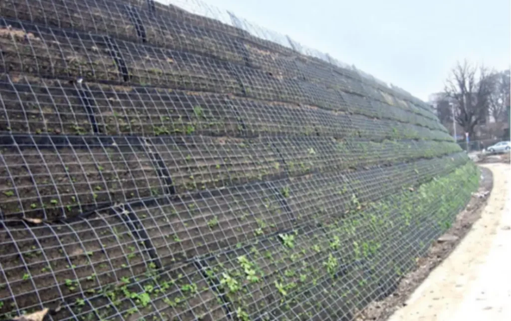 What Is Geogrid?