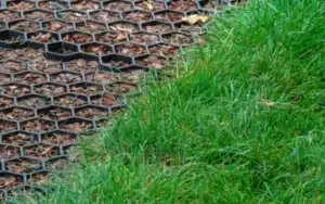 PP Gravel Grid