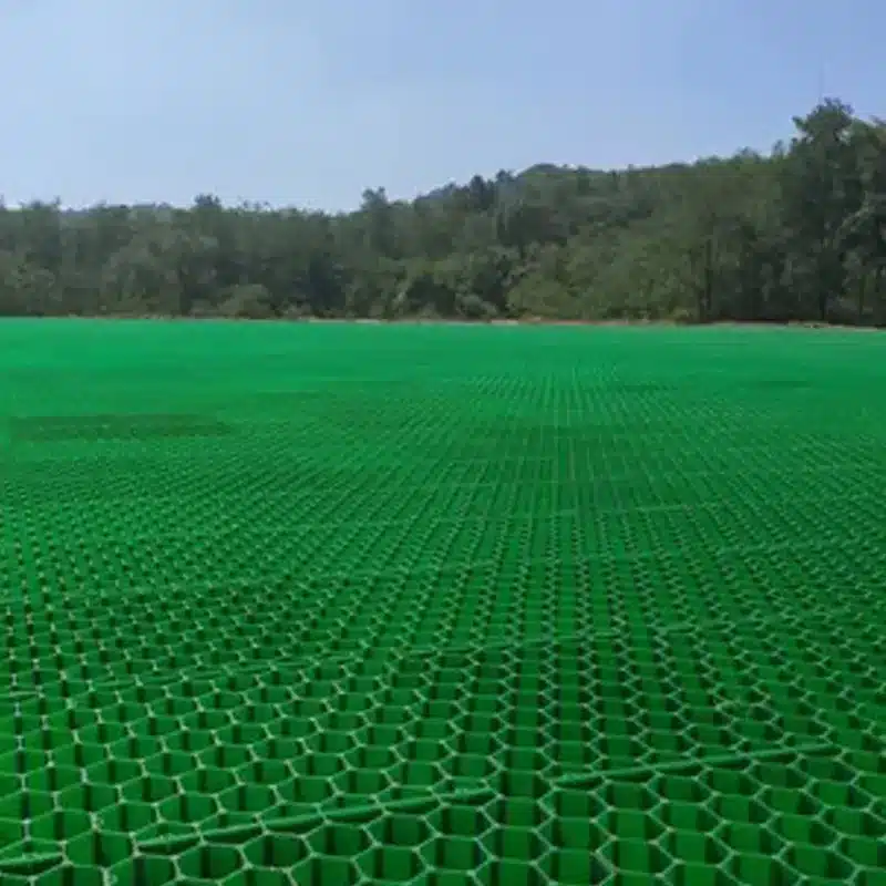 HDPE grass paver