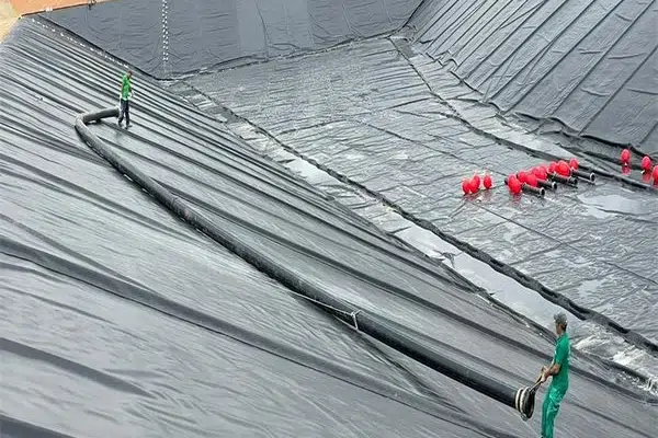 Textured geomembrane for interface and slope review
