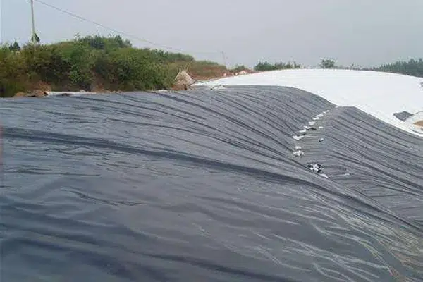 Geomembrane liner for leak-testing planning