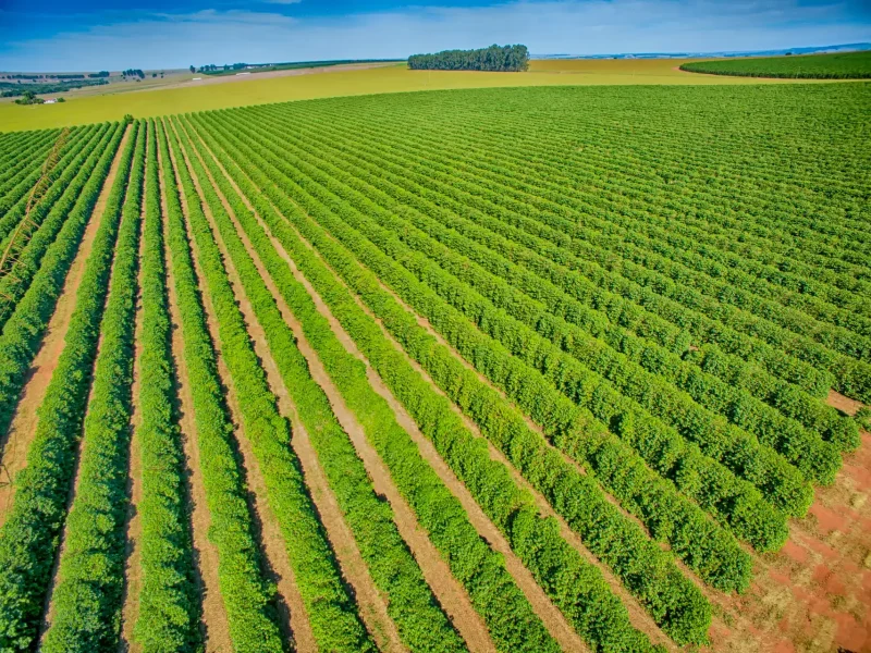 9e7a7b6e11aedfd5cd9d15cb5569a014 9e7a7b6e11aedfd5cd9d15cb5569a014