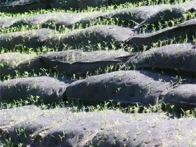 Non-Woven Geotextiles (9) Non-Woven Geotextiles (9)