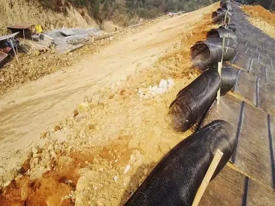 geogrid (14) geogrid (14)