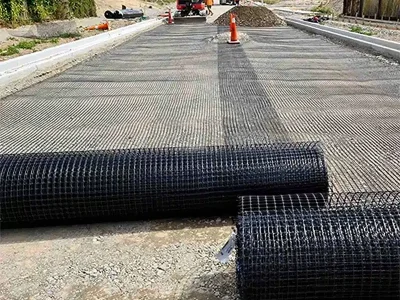 geogrid (17) geogrid (17)