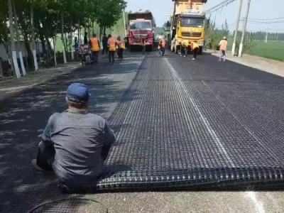 geogrid (21) geogrid (21)