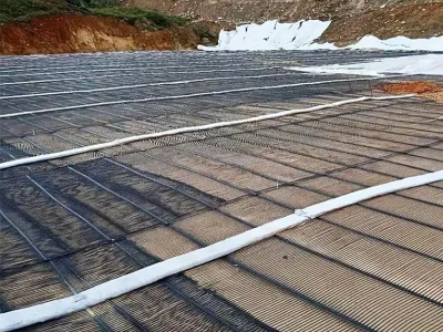 geogrid (22) geogrid (22)