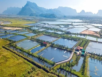 geomembrane (49) geomembrane (49)