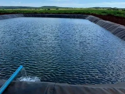 geomembrane (50) geomembrane (50)