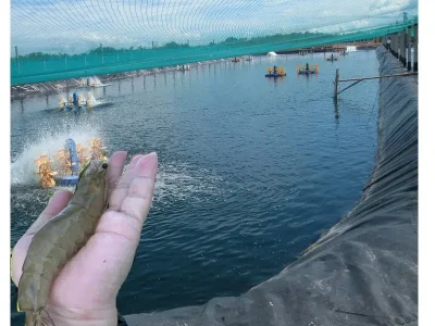 geomembrane (57) geomembrane (57)